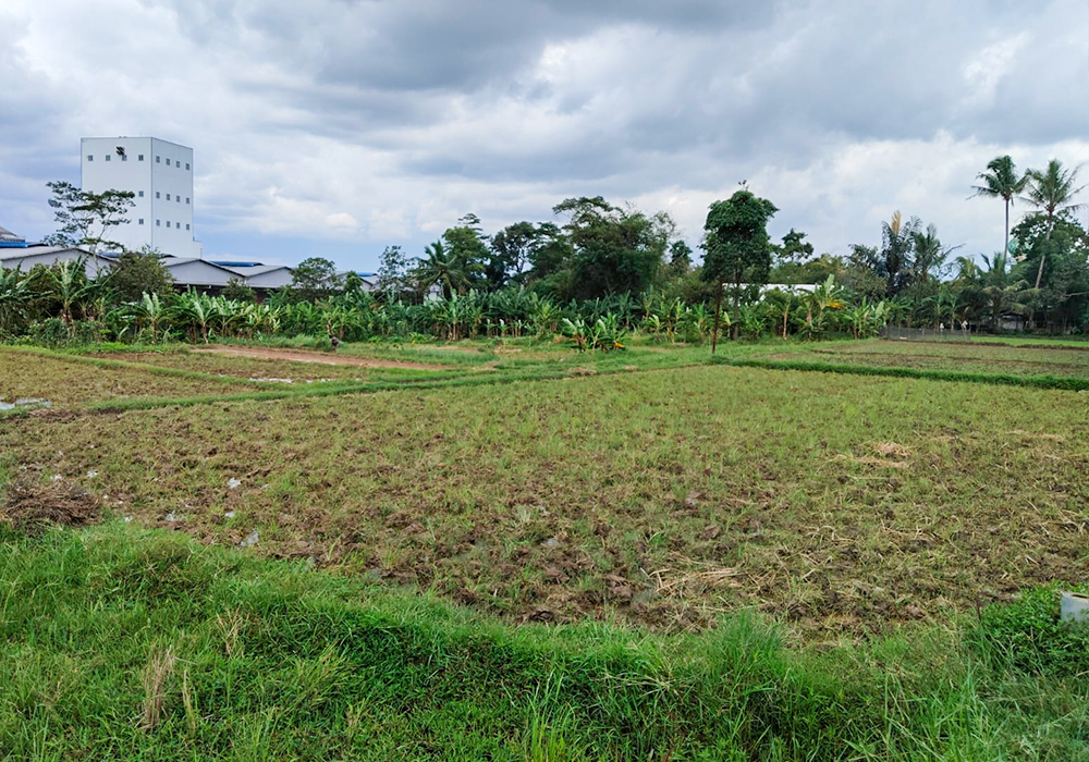 TANAH DI KAB. SERANG - WOFF601-4 - foto 3